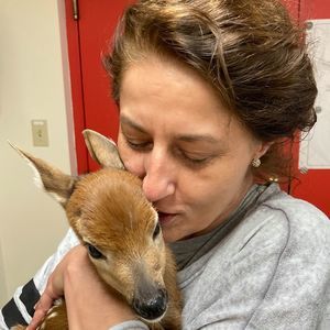 Meet your Posher, Ajla